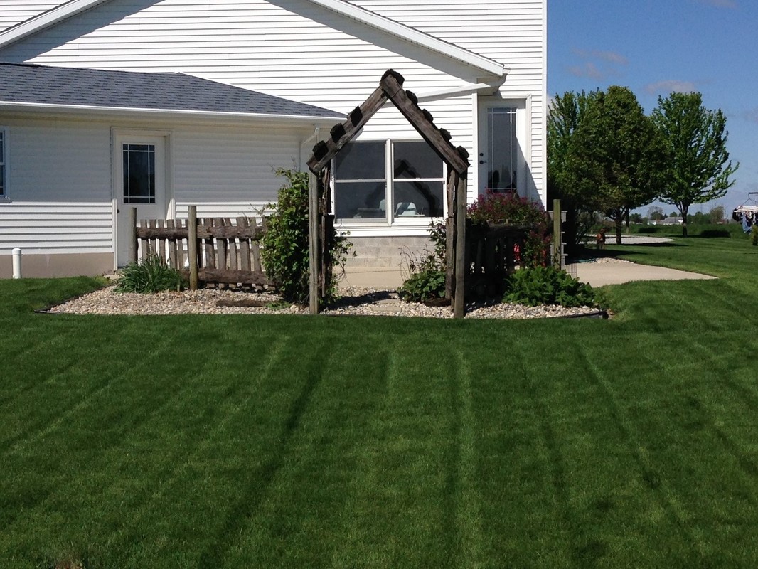 Dense lawn around a home landscape