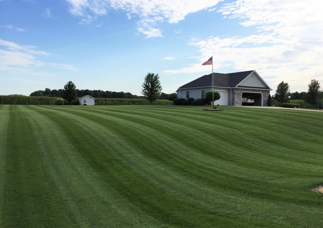 A wide, evenly growing lawn cared for by Green A Lawn